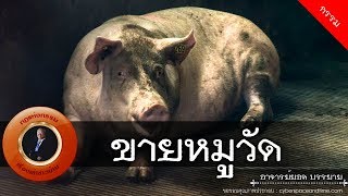 อาจารย์ยอด : ขายหมูวัด [กรรม] new