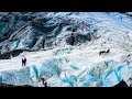 Franz Josef Glacier Helicopter Flight and Hike