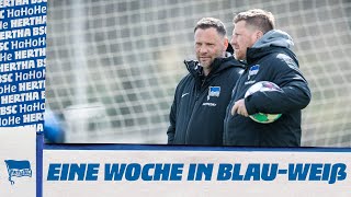 HaHoHe - Eine Woche in Blau-Weiß | 28. Spieltag | Hertha BSC vs. Borussia Mönchengladbach