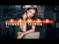 new kuchek mix ludnica 2024 ☆ █▬█ █ ▀█▀ ☆ 2024