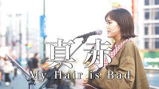 【大人気!!】大人気曲をTikTokを中心に人気を集めているちゃんゆ胃が路上ライブ!!『真赤/My Hair is Bad(cover)』ちゃんゆ胃