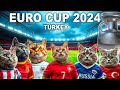 CAT KITTENS PLAYING FOOTBALL - EURO 2024 PREVIEW