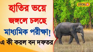 Bangla News | হাতির ভয়ে জঙ্গলে চলছে  Madhyamik পরীক্ষা ! এ কী করল বন দফতর | Elephant |  #local18