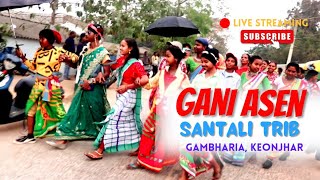 Budhi Gani Asen || gambharia budhigani Asen|| budhigani dance video|| gani Asen video.