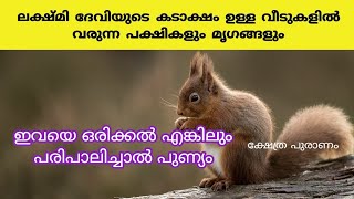 ലക്ഷ്മി ദേവിയുടെ അനുഗ്രഹം ഉള്ള വീടുകളിൽ വരുന്ന പക്ഷികൾ