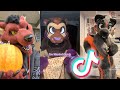 Furry TikTok's That I Find In My Halloween Candy