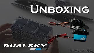 Dualsky Servos for Precision Aerobatics