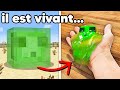 J’ai adopé un SLIME Minecraft dans la Vraie Vie