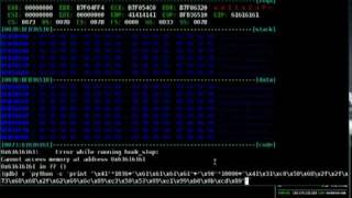 Buffer Overflow on Linux: Bypassing ASLR.