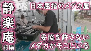 【めだか】メダカ屋訪問　静楽庵　前編　Ｂ型おやじ