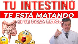 El Intestino: foco de moco y envejecimiento