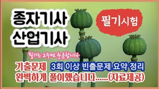 종자기사 필기시험---5년치 기출문제 완벽하게 풀이했습니다(자료제공). 3회 이상 빈출 문제 요약 정리 #어쩌다서울촌놈