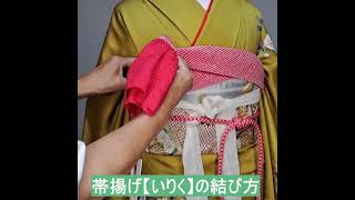 振袖の帯揚げ【いりく】結び#Shorts #着付け #着付師