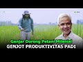 Ganjar Pranowo Dorong Petani Milenial Genjot Produktivitas Padi