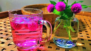 Globe Amaranth | How to make amaranth flower tea | HOMEMADE ORGANIC TEA  AT HOME ชาดอกบานไม่รู้โรย