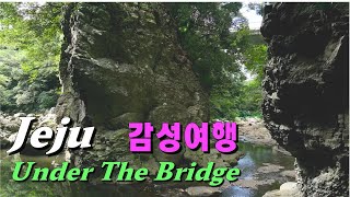 A Valley Under The Bridge 제주 안덕계곡 다리 밑