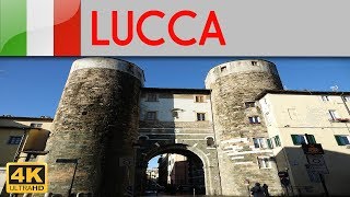 LUCCA