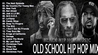 OLD SCHOOL HIP HOP MIX 🔥🔥🔥 Snoop Dogg, Dr Dre, Eminem, The Game, 50 Cent, 2PAC,