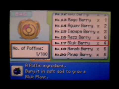 Pokemon Diamond and Pearl: Making the Perfect Poffin Pokemon Diamond and Pearl: Making the Perfect Poffin