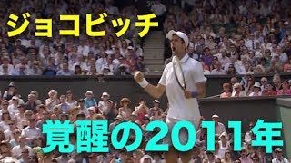 【ジョコビッチ】エグすぎる覚醒,2011年を紹介！無敵ジョコビッチはここから始まった【スーパープレイ】