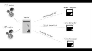 Background on PHP and database driven websites: Server-side vs. client-side programming.