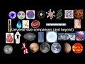 Universe size comparison 2018-2019 (reuploaded 2)