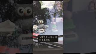 성공마인드/긍정마인드/출근길/출근길에 만난 남의 자동차