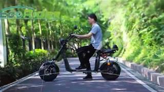 EEC Approved New 1500W, 20Ah 60V Electric Scooter Citycoco Factory Supply