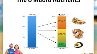 Macros: How to shred body fat and maintain muscle