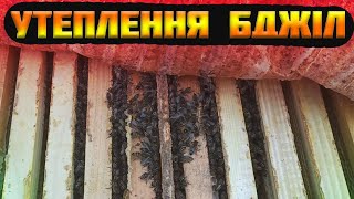 Утеплення бджіл на зиму. Зимівля бджіл із фольгоізолом. Експериментальний варіант зимівлі бджіл