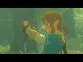 The BIGGEST FLAW about Breath of the Wild's DLC
