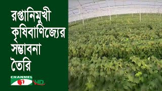 ত্রিশালে দেশের প্রথম গ্লাসহাউজে আধুনিক প্রযুক্তির বাণিজ্যিক কৃষি