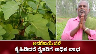 ಅವರೆಕಾಯಿ ಬೆಳೆ: ಕೈಹಿಡಿದರೆ ರೈತರಿಗೆ ಅಧಿಕ ಲಾಭ