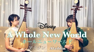 【中国琵琶】ホールニューワールド/A Whole New World 【アラジン】