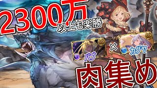 【グラブル】2300万以上も楽勝！片面カグヤでバブ召喚攻撃肉集め【土古戦場】