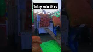 Today rate 25 rs matar. Khachrod matar mandi.      Date 11Dec.2022  #shorts #youtubeshorts #viral