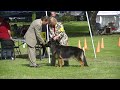 cheryl and kona 09 27 2014 iabca dog show