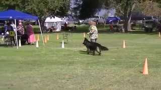 Cheryl and Kona 09/27/2014, IABCA Dog Show