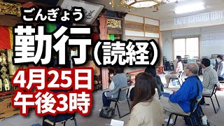 勤行　一緒にお経をあげましょう。肆誓偈（しせいげ、重誓偈）、三尊礼を中心として