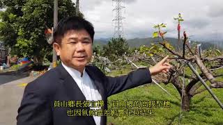 葛瑪蘭新聞網～員山鄉長張宜樺為員山梨農發聲．籲請農委會比照羅東鎮辦理