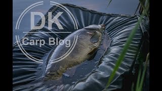 DK - CARP BLOG - Jednodenní rybaření na svazové pískovně