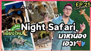 เชียงใหม่ไนท์ซาฟารี (Chiang Mai Night Safari) พบน้องเอวา(เสือเซเลป)สุดน่ารัก!! | Chill Story EP.25