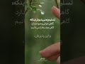 ✨شاید زمان آن فرارسیده که دست از کنترل همه چیز برداری.