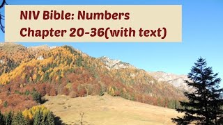 NUMBERS 20-36: NIV Audio Bible: (with text)