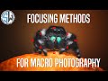 How to Focus in Macro Photography