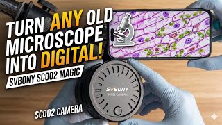 Upgrading VINTAGE Microscope to MODERN 🔬 | SvBony SC002 [YOU DON'T NEED EXPENSIVE MICROSCOPE!]
