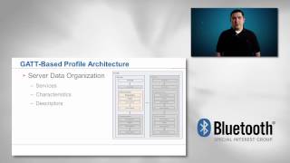 Profile Architecture for GATT-Based Specifications