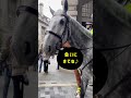 イギリス、かっこいい騎馬警官！ ロンドン イギリス 警察 london uk