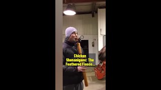 Chicken Shenanigans  The Feathered Fiasco Tha