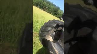 Guy Finds a Baby Deer in a Field